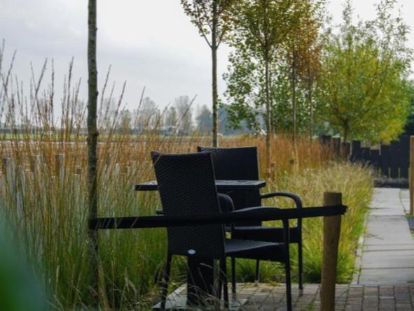 Vakantiewoning de Schelp Ellemeet Exterior foto